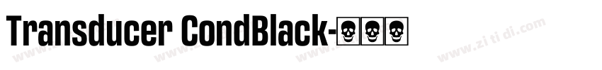 Transducer CondBlack字体转换
